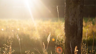 在线短信轰炸机网页版